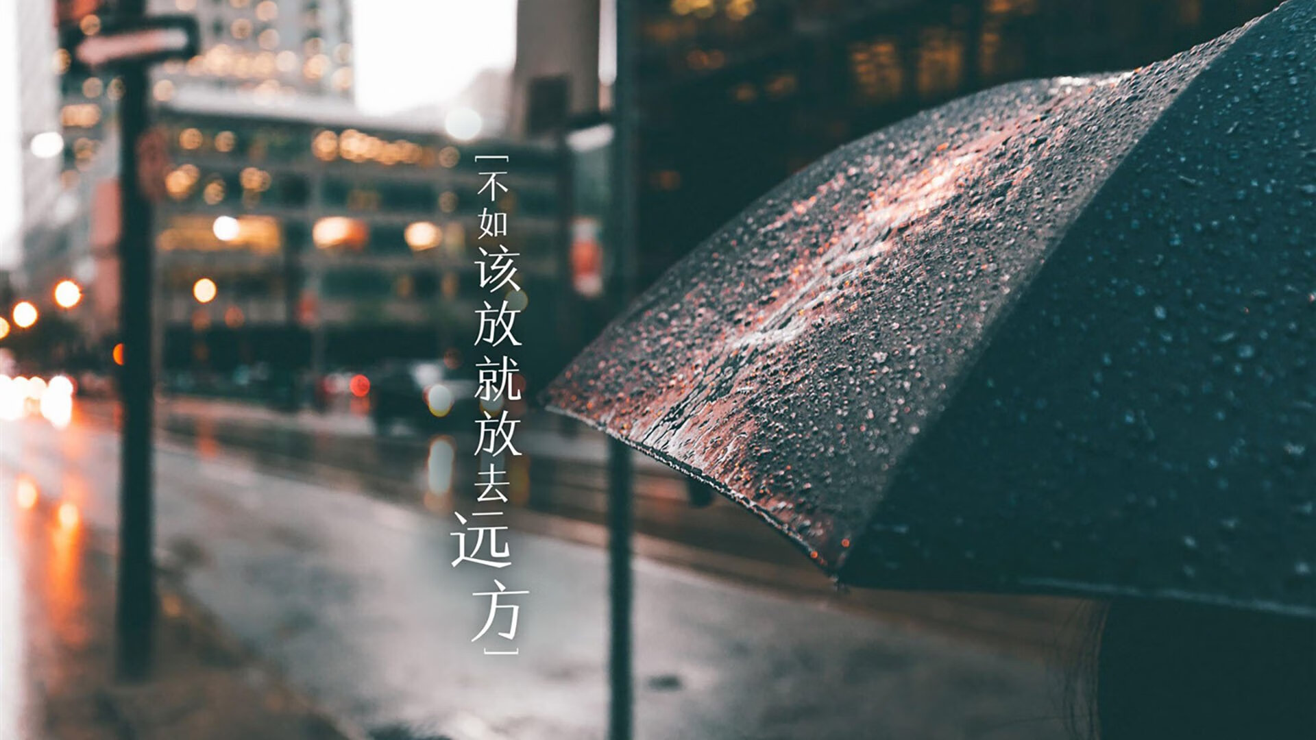 后备力量逐渐崛起，成为球队新亮点，后备力量逐渐崛起,成为球队新亮点