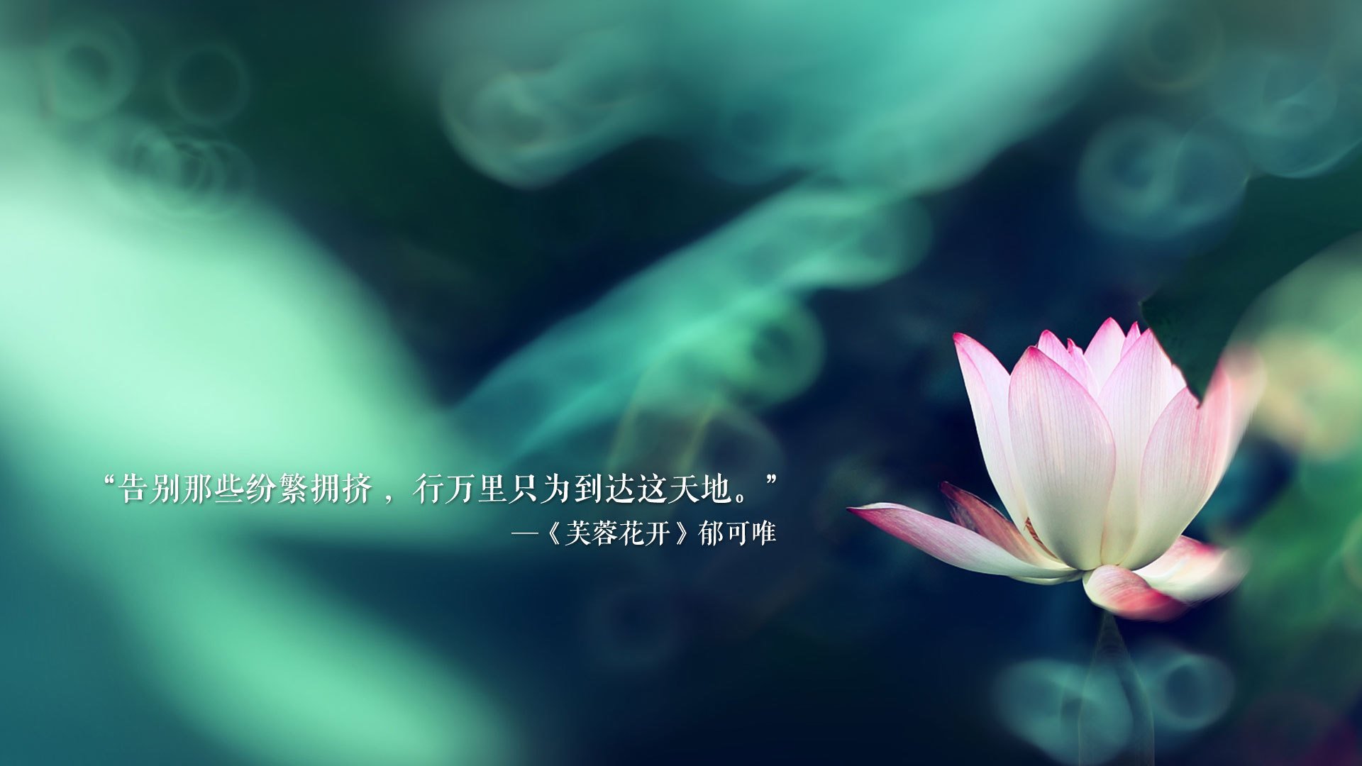 太阳队客场险胜火箭队，挺进四连胜，太阳vs火箭比赛直播