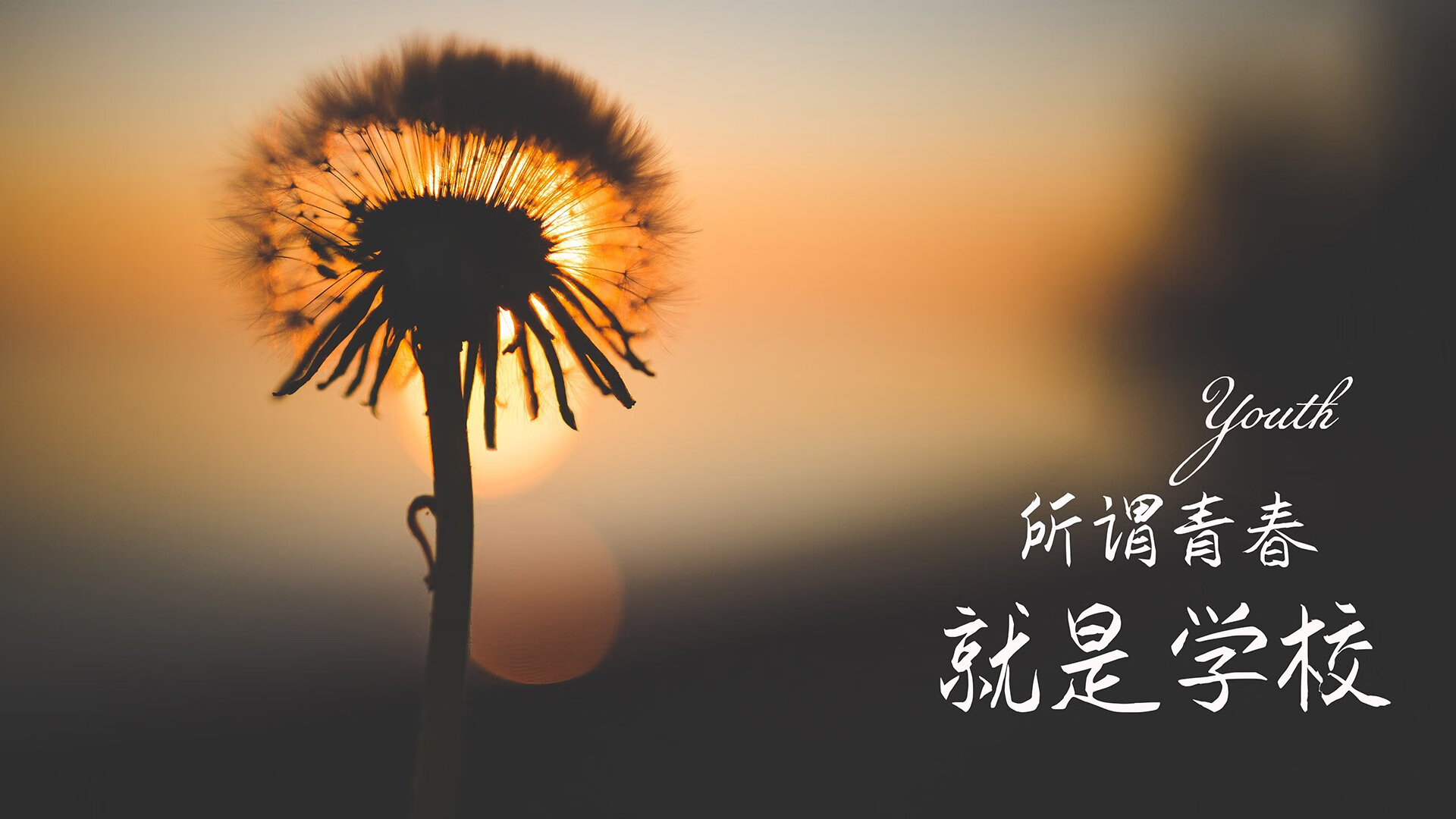 英超区域球迷群体特征与俱乐部运营策略匹配，英超球队球迷数量