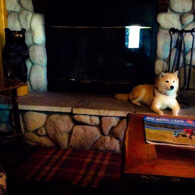 新加坡乒乓未来规划：如何通过加强团队合作提升整体表现，新加坡乒乓球国手