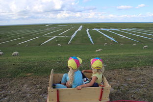 AYX SPORTS-青少年足球训练方法现代化，青少年足球技术