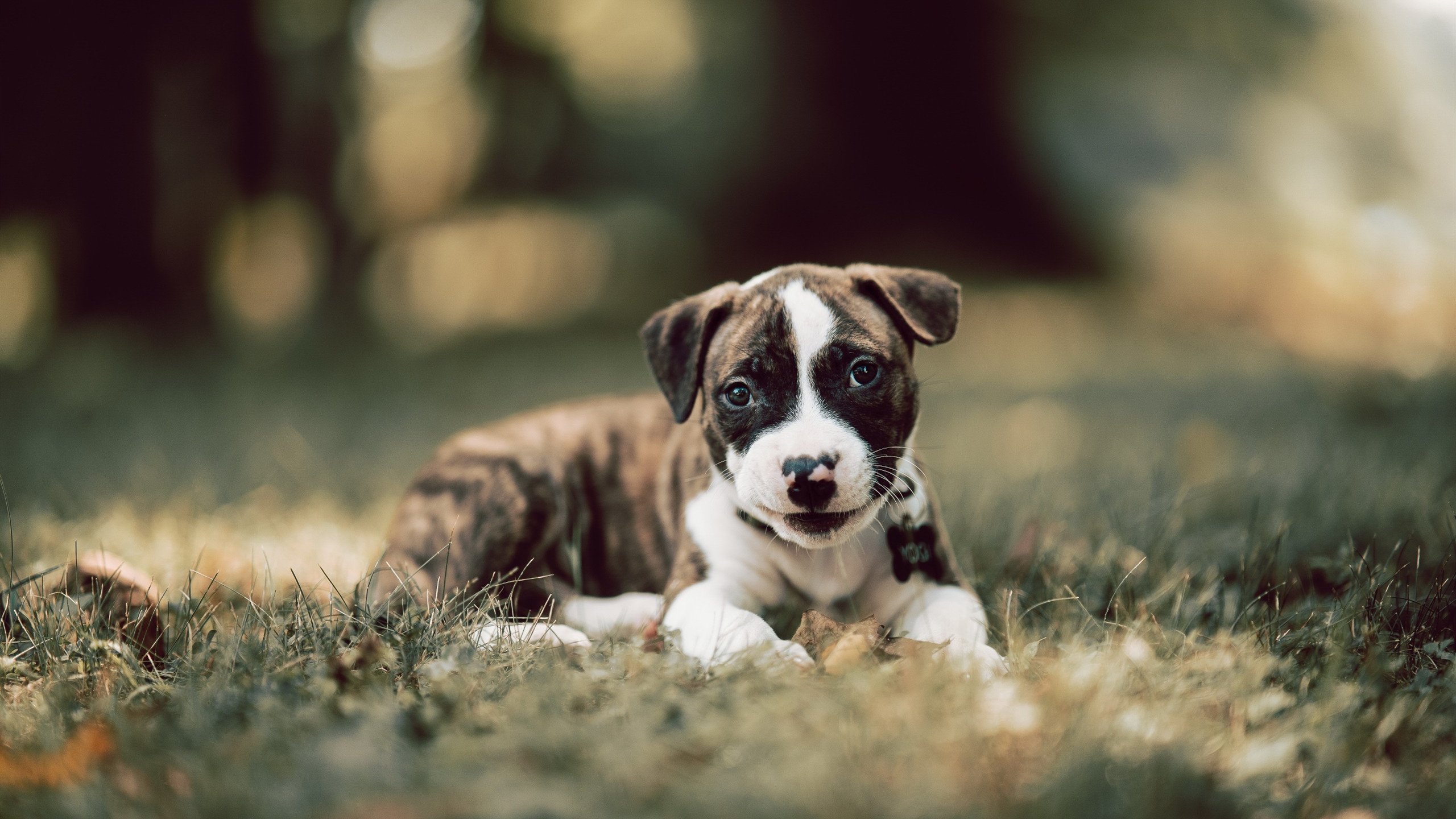 爱游戏在线登录入口-中国女排封训期间注重心理调节训练，中国女排背后训练的艰辛历程