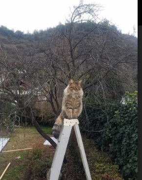 勇士新人在采访中称将全力以赴争取机会,勇士新来的球员是哪位