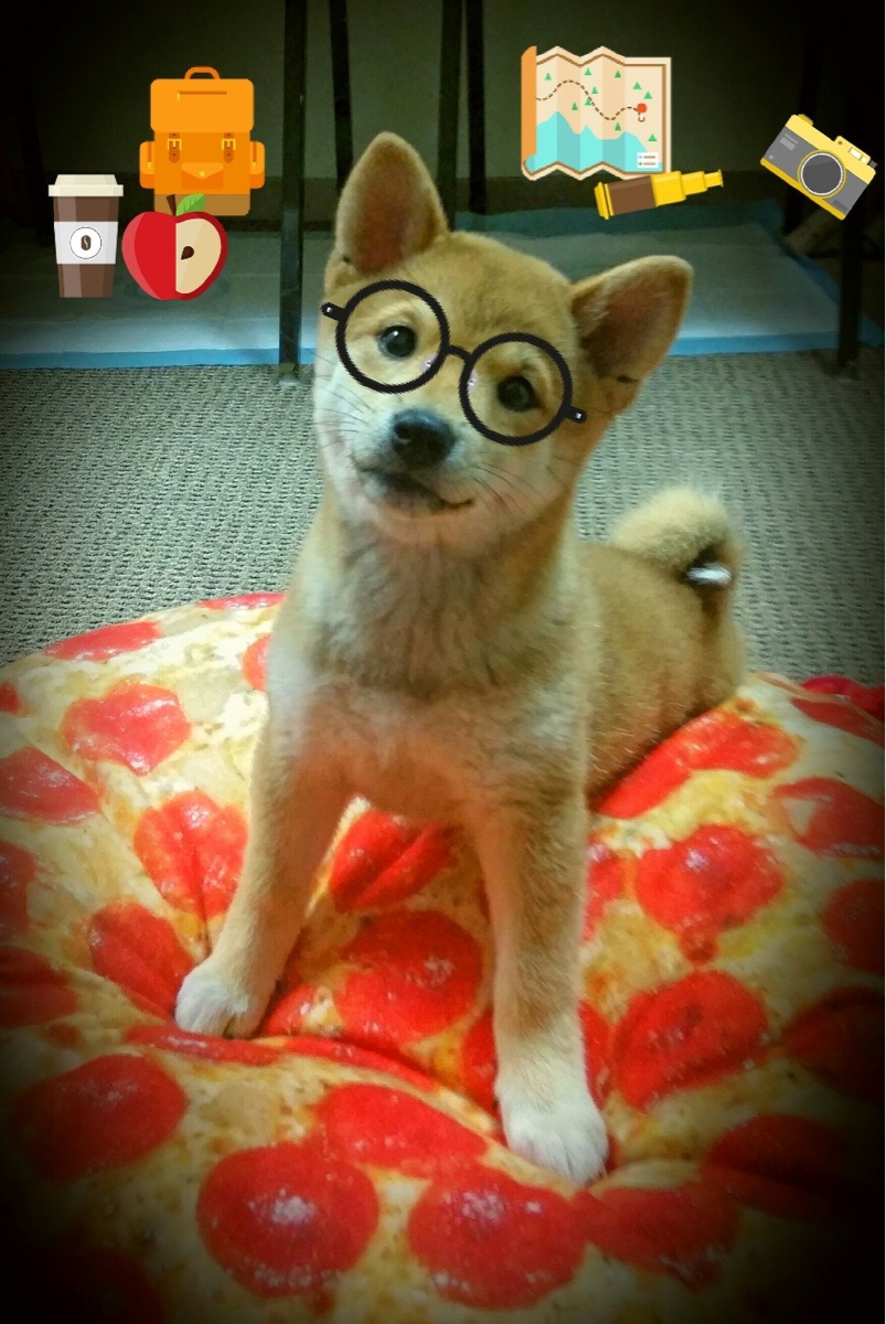 AYX体育官网-曼联在关键战役中逆转获胜，追赶领头羊