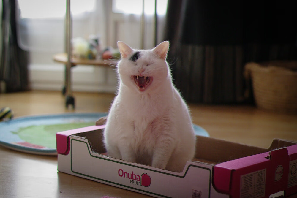 爱游戏体育官方网站-李娜讲述夺冠背后不为人知的故事，李娜两次夺冠