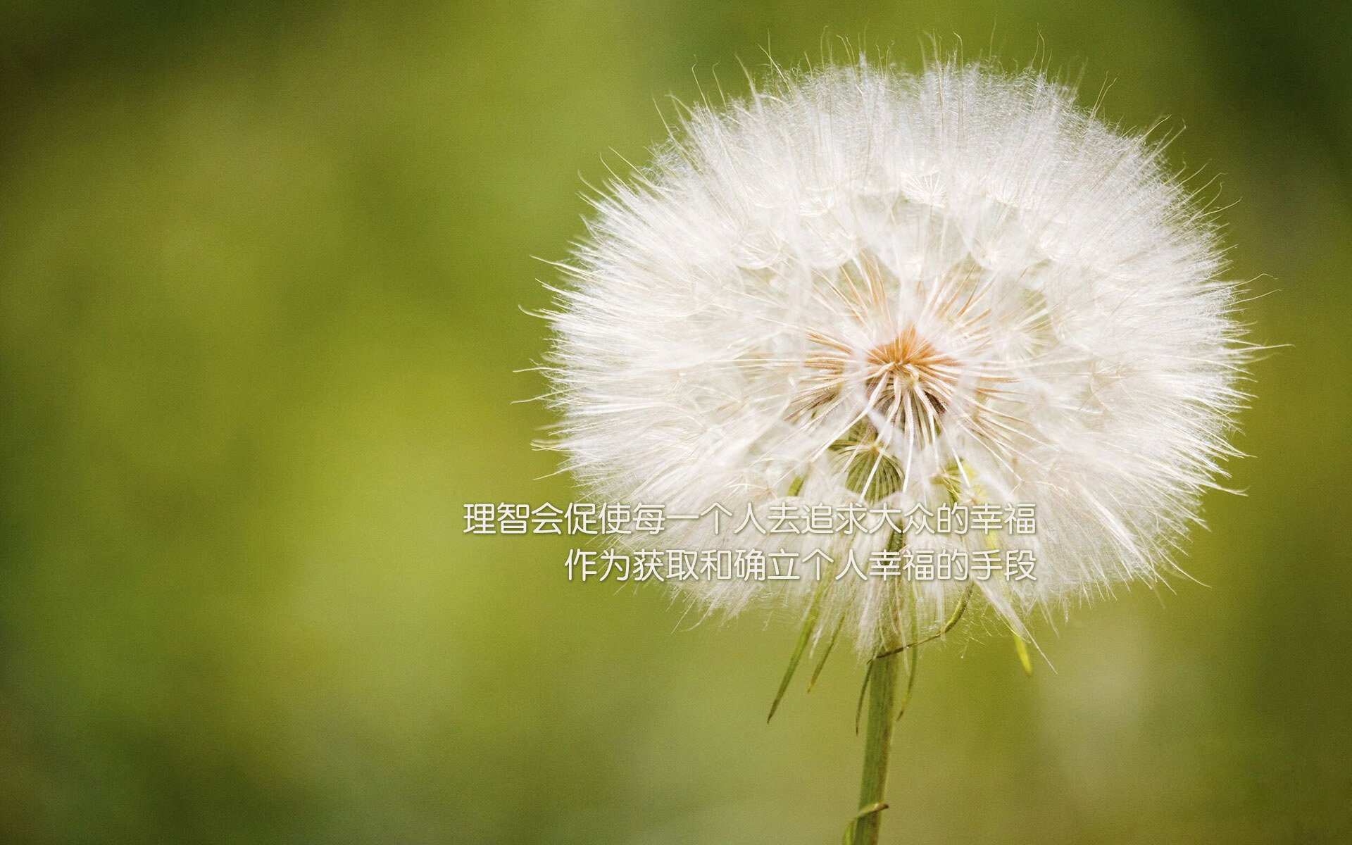 法甲攻守精彩:点滴瞬间铸就精彩战绩,法甲介绍