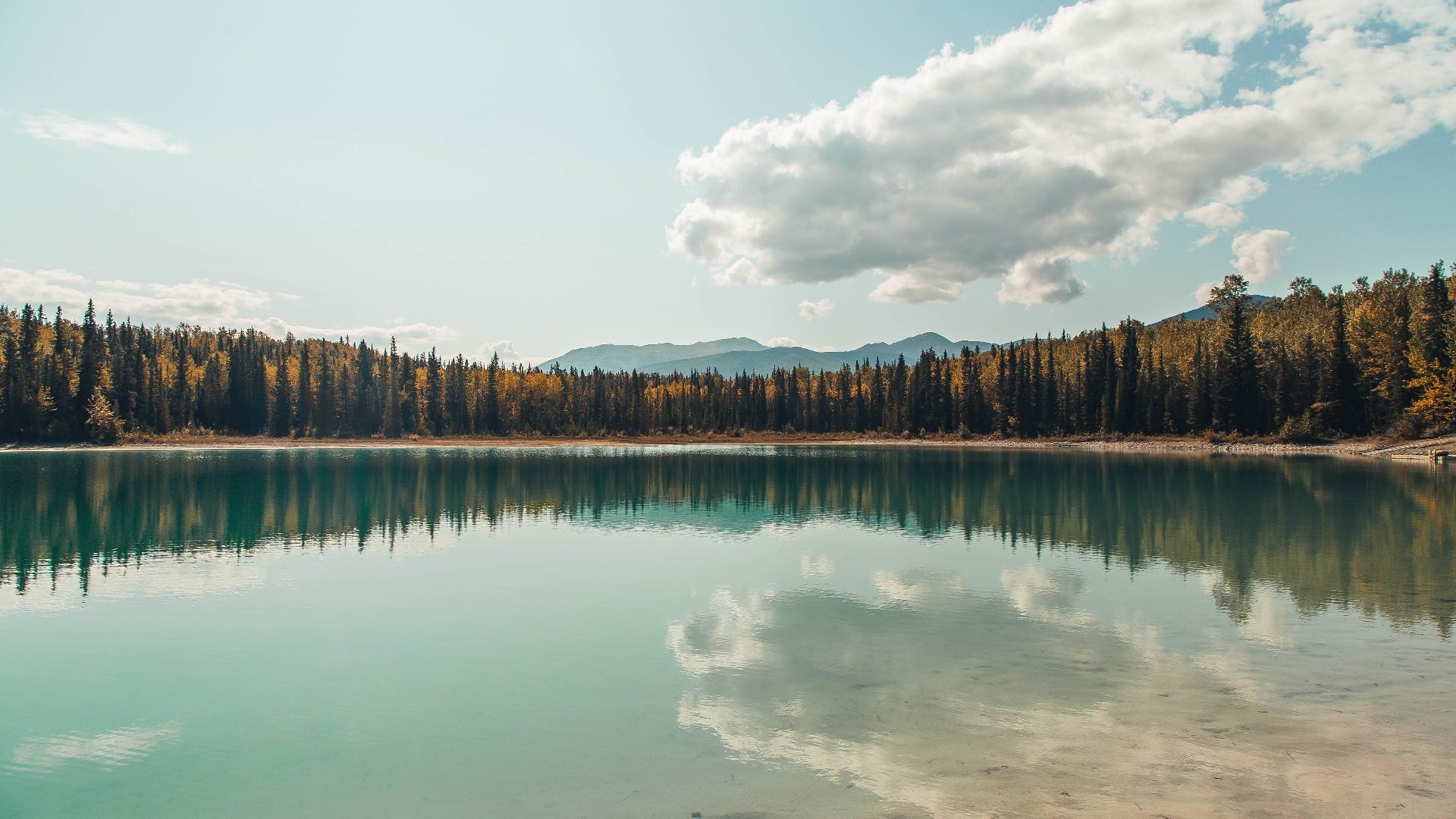 AYX体育-男队伤病频发 影响发展节奏,男篮伤病名单