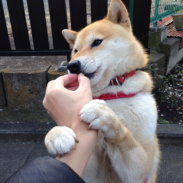 詹姆斯火线复出NBA总决赛,詹姆斯热火总冠军