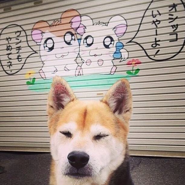 赫梅列夫斯基冲刺阶段表现抢眼,赫梅利诺夫